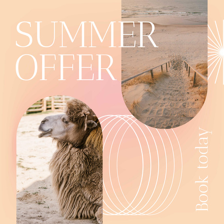Music Album Promotion with Camel on Beach Instagram Design Template