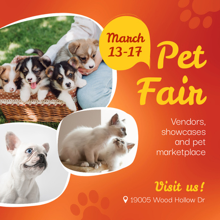 Pet Fair With Cats And Dogs With Reliable Vendors Animated Post Design Template