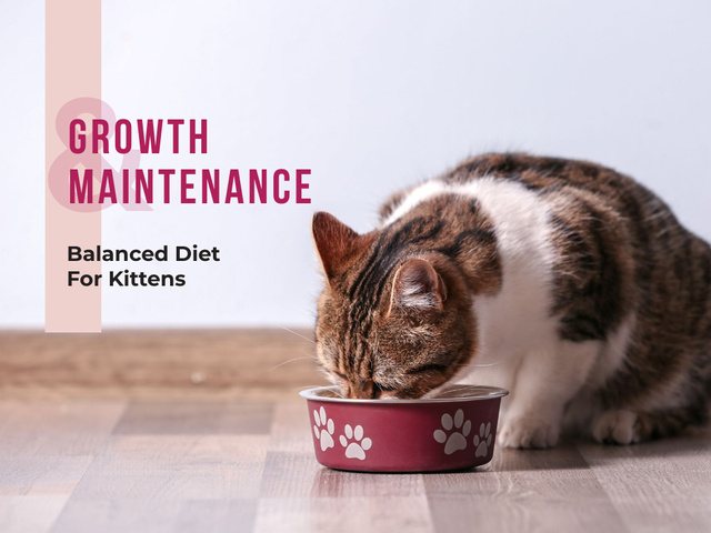 Cute cat eating from bowl on floor Presentationデザインテンプレート