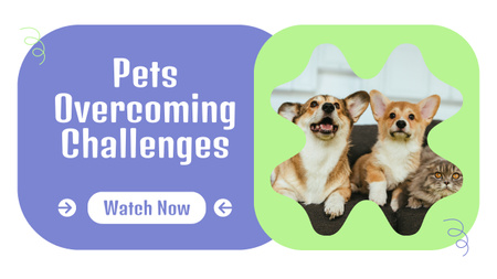 Vlog Promo about Pet Overcoming Challenges Youtube Thumbnail Design Template