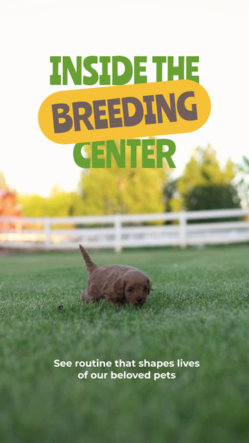 Plantilla de diseño de Beloved Puppies Inside Breeding Center TikTok Video 