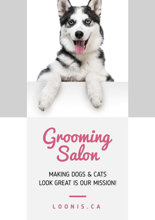 Grooming Salon Ad Cute Corgi Puppies Flyer A7 Design Template