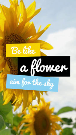 Blooming Sunflowers And Inspirational Quote Instagram Video Story tervezősablon