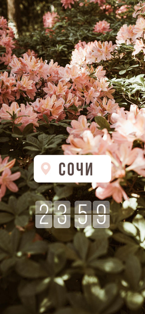 Beautiful blooming Flowers Snapchat Geofilter – шаблон для дизайна