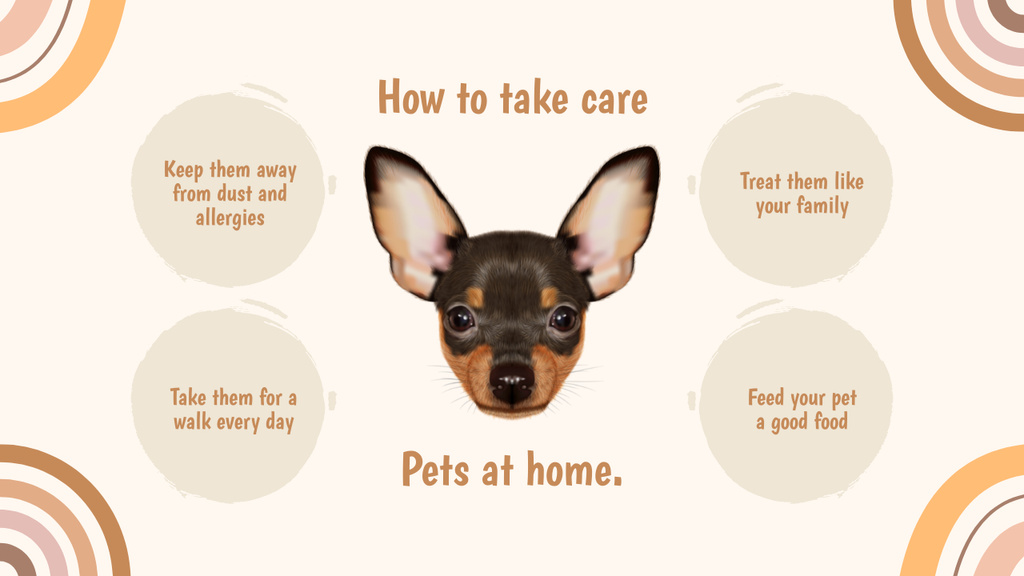 How to Take Care of Pet at Home Mind Map Šablona návrhu