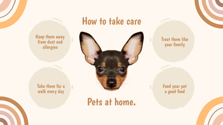 Designvorlage So kümmern Sie sich zu Hause um Ihr Haustier für Mind Map