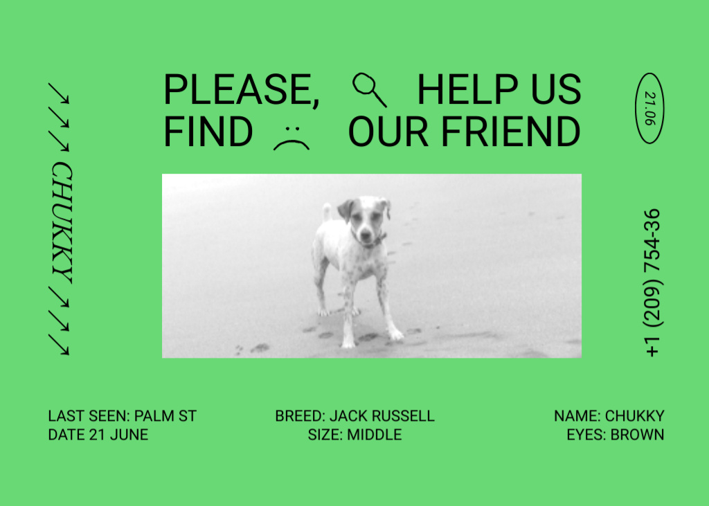 Szablon projektu Green Announcement about Missing Domestic Dog Flyer 5x7in Horizontal