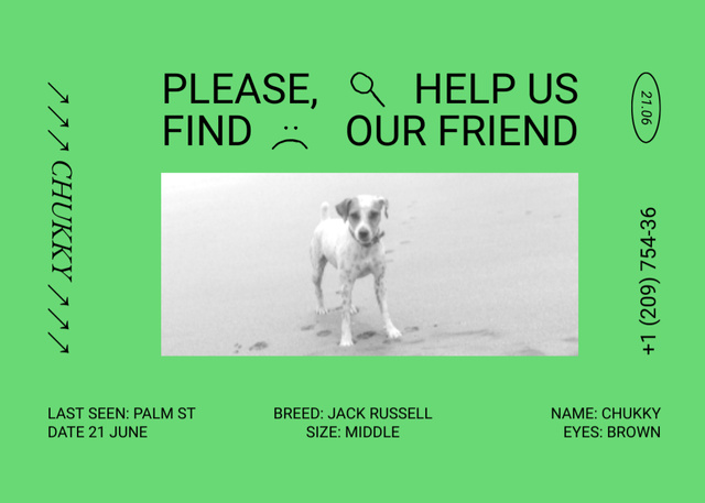 Green Announcement about Missing Domestic Dog Flyer 5x7in Horizontal – шаблон для дизайну