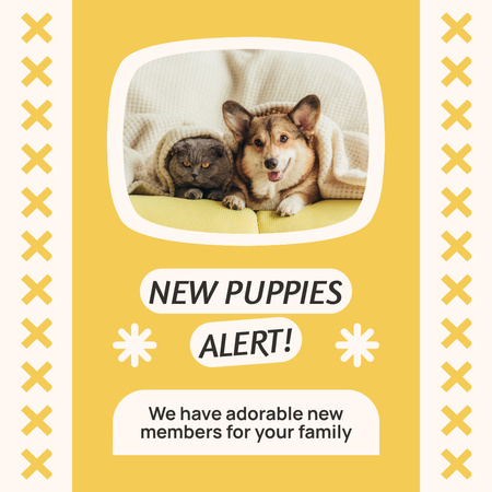 New Pets for Adoption Alert Instagram Design Template