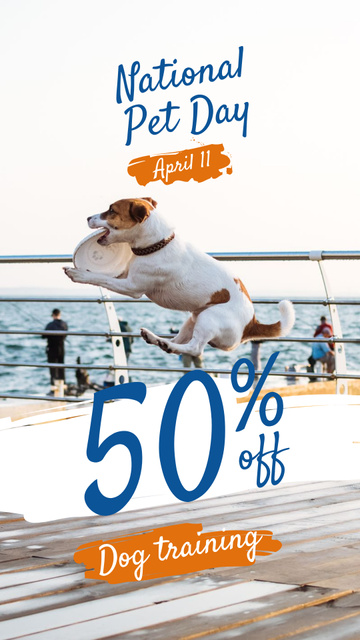 Pet Day Offer Jack Russell Playing Flying Disc Instagram Story Πρότυπο σχεδίασης