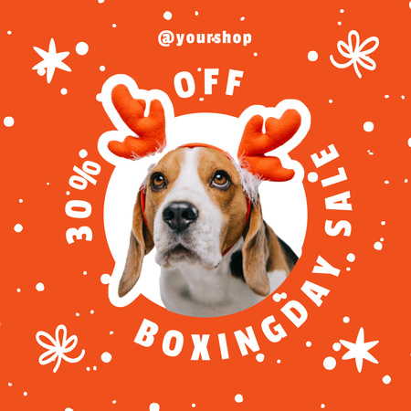 Pet Shop Discounts on Boxing Day Instagramデザインテンプレート
