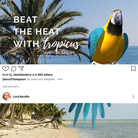 Plantilla de diseño de loro en tropical beach para viajar oferta Animated Post 