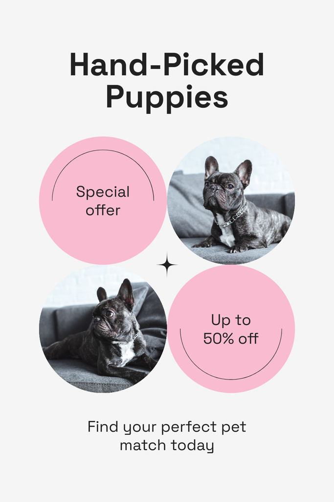Ontwerpsjabloon van Pinterest van Special Offer of French Bulldog Puppies