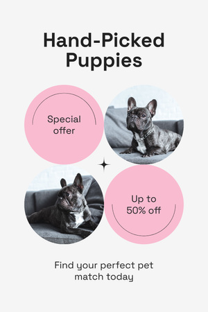 Special Offer of French Bulldog Puppies Pinterest Design Template