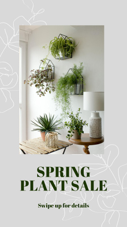Spring Plant Sale Announcement Instagram Story Design Template