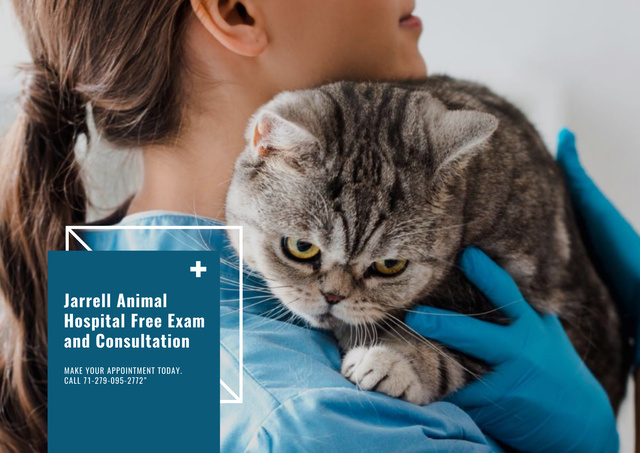 Vet with Cat in Animal Hospital Poster A2 Horizontal Tasarım Şablonu