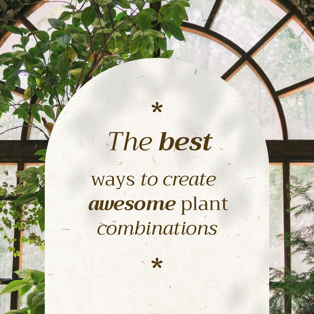 Plant Combinations with Beautiful House Tree Instagram Modelo de Design