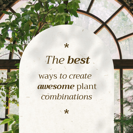 Plant Combinations with Beautiful House Tree Instagram Design Template