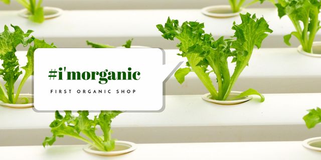 Organic Shop Offer with Green Leaves Twitterデザインテンプレート