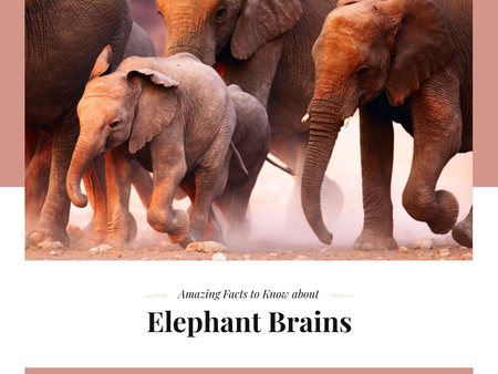 Designvorlage Facts about Elephants für Presentation