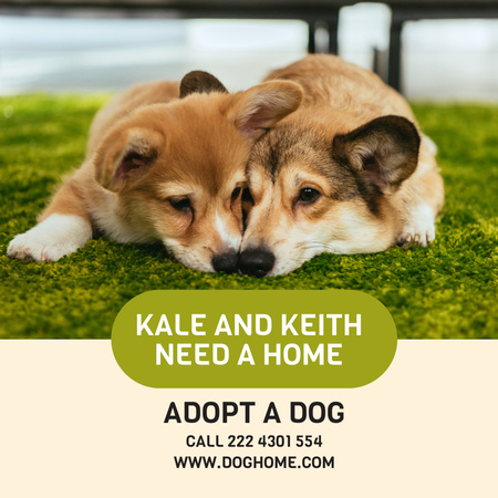 Designvorlage Angebot zur Hundeadoption für Instagram