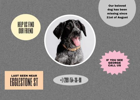 Lost Dog Announcement Flyer A6 Horizontal Design Template