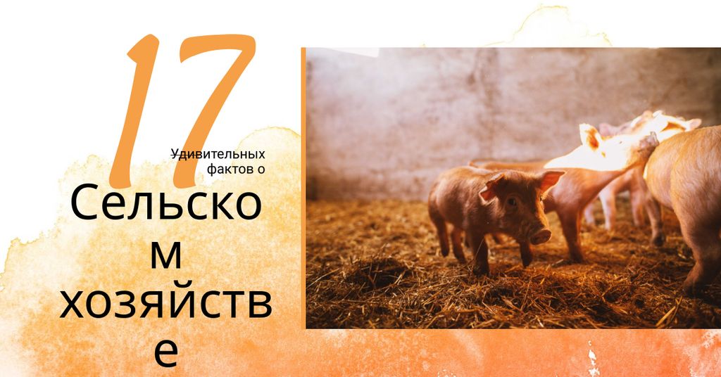 Little pigs on farm Facebook AD – шаблон для дизайна