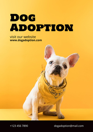 Pets Adoption Club Ad Poster A3 Design Template