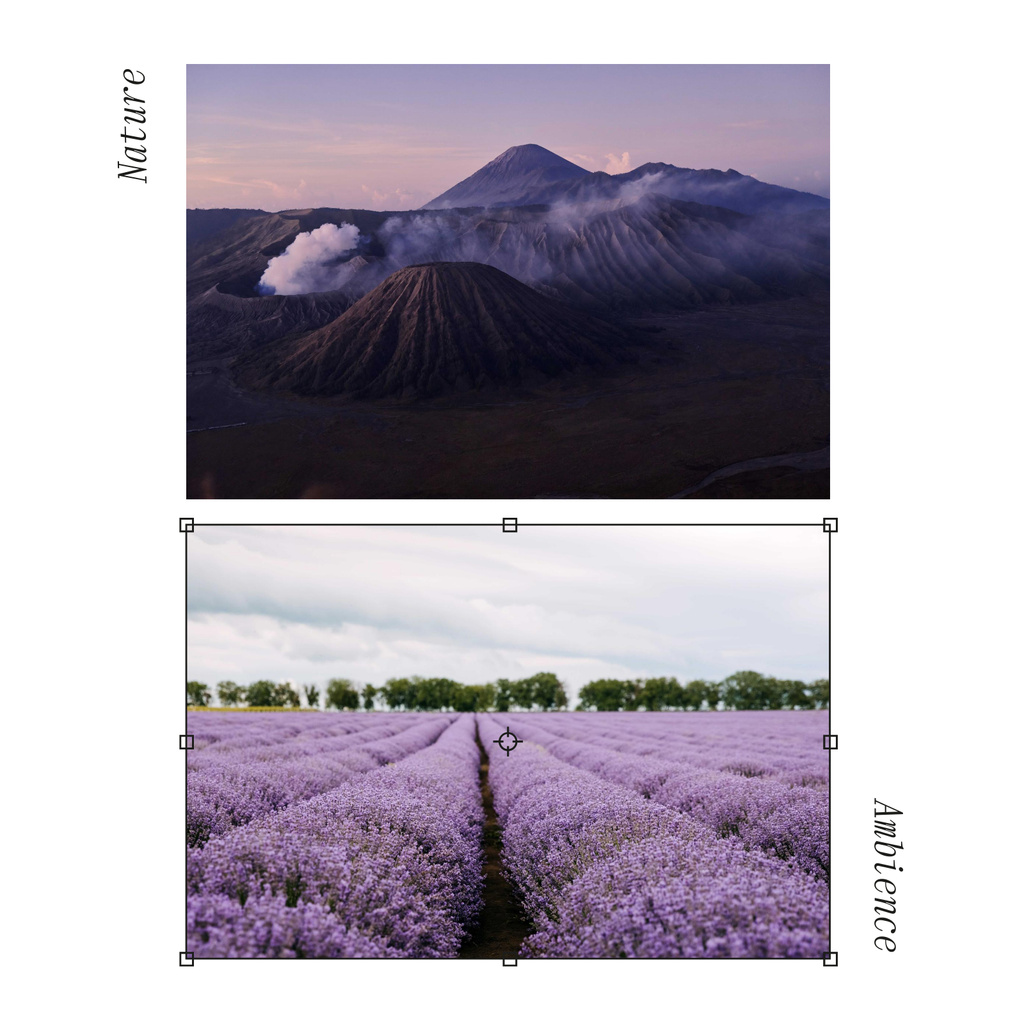 Beautiful Landscape of Mountains and Lavender Field Album Coverデザインテンプレート