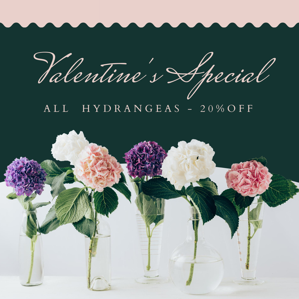 Various Hydrangeas With Discounts Offer Due Valentine's Day Instagram AD Tasarım Şablonu