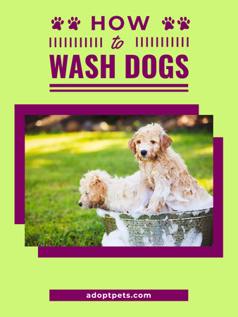 Washing Dog Cute Puppies in Foam Poster 36x48in Design Template