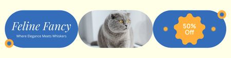 Discount on visiting Cat Exhibition Twitter Design Template