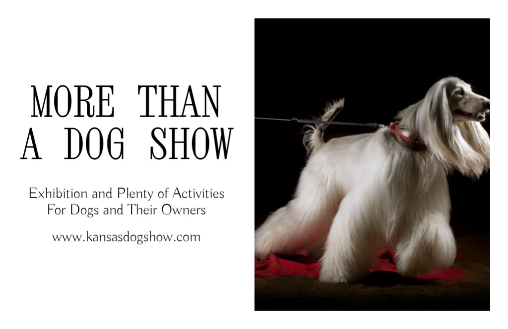 Dog Show Announcement with Fluffy Pedigree Pet Flyer 5.5x8.5in Horizontal Design Template