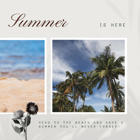 Palm Trees on Tropical Beach Instagram Design Template