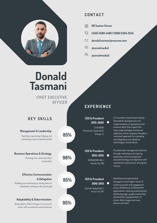 Template di design Chief Executive Officer Professional profile Resume