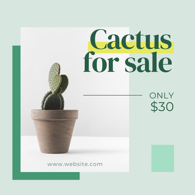 Plant Shop Sale Offer with Cactus In Pot Instagram Tasarım Şablonu
