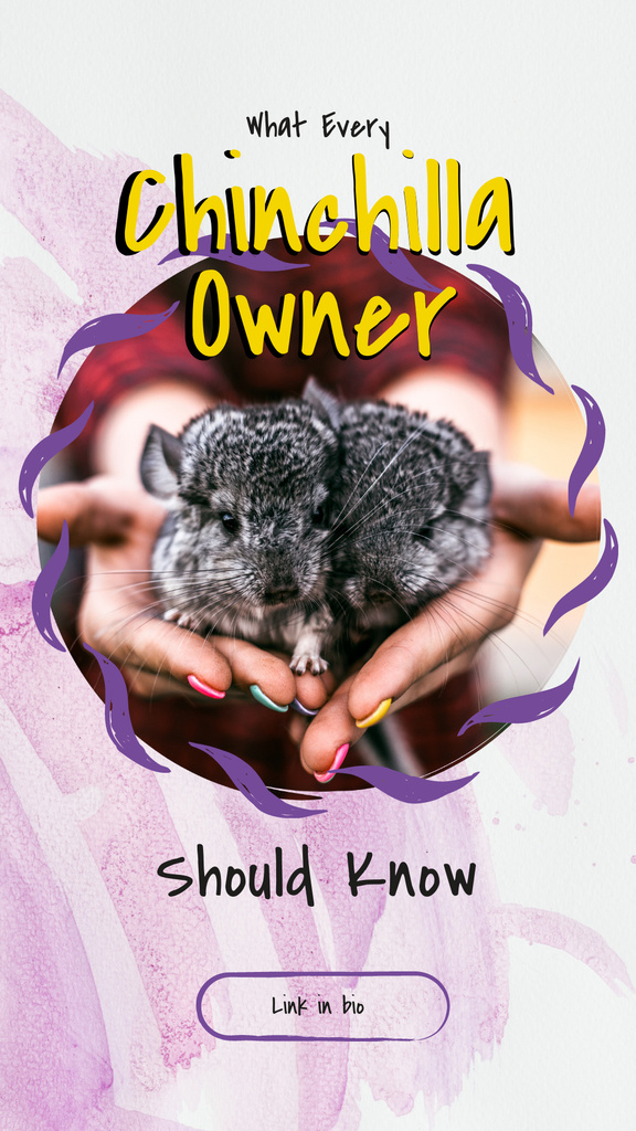 Woman holding two chinchillas Instagram Story Design Template
