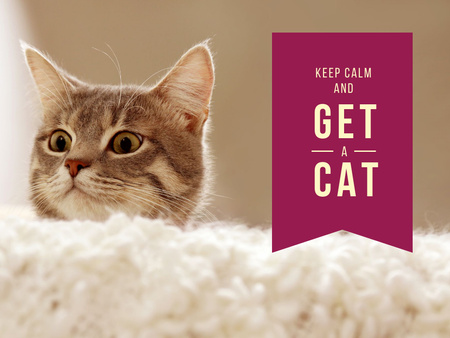 Pet Quote with Cute Cat Presentation Design Template