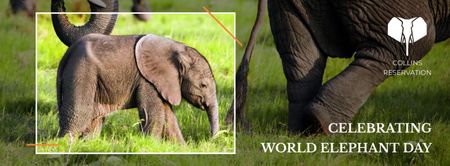 Elephant Day Celebration with little elephant Facebook cover Design Template