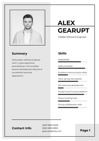 Professional Software Engineer profile Resume tervezősablon