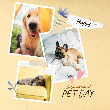 International Pet Day with Cute Funny Dogs and Cat Instagram Design Template