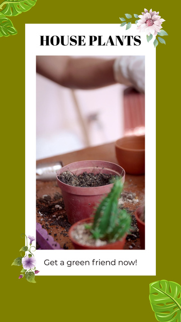 Ontwerpsjabloon van TikTok Video van Succulents In Pot And Houseplants Offer