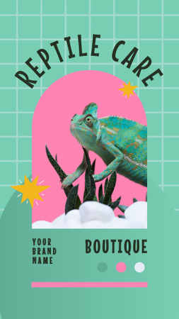 Chameleon Reptile Care Offer Instagram Story Design Template