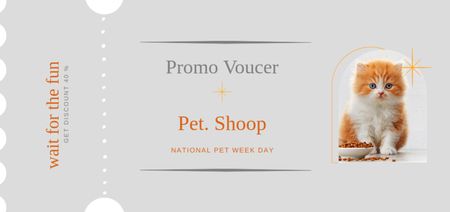 Pet Shop Discount Offer with Cute Cat Coupon Din Large Design Template