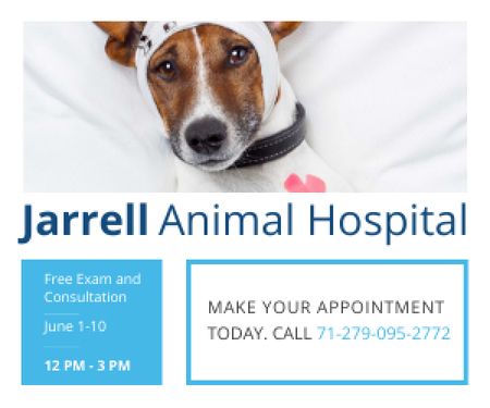 Jarrell Animal Hospital Medium Rectangle Design Template