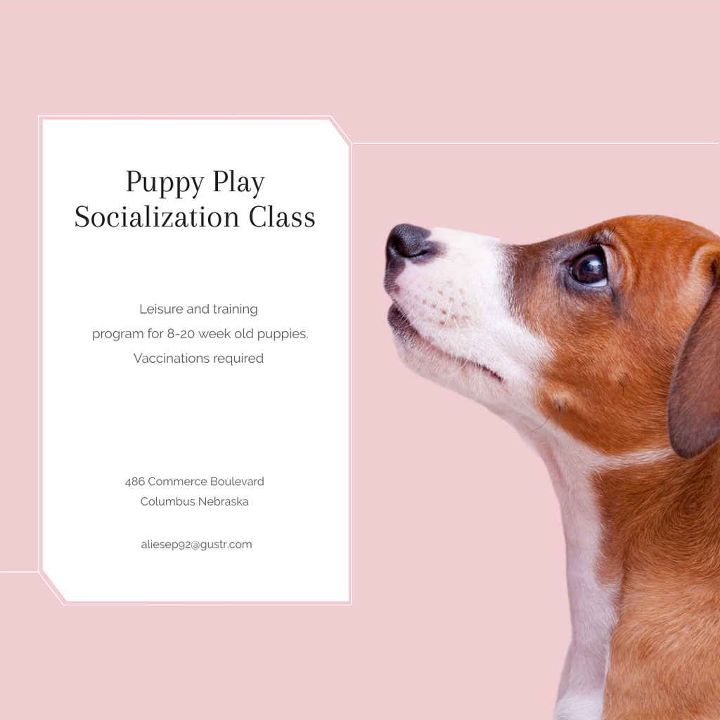 Ontwerpsjabloon van Instagram AD van Puppy socialization class with Dog in pink