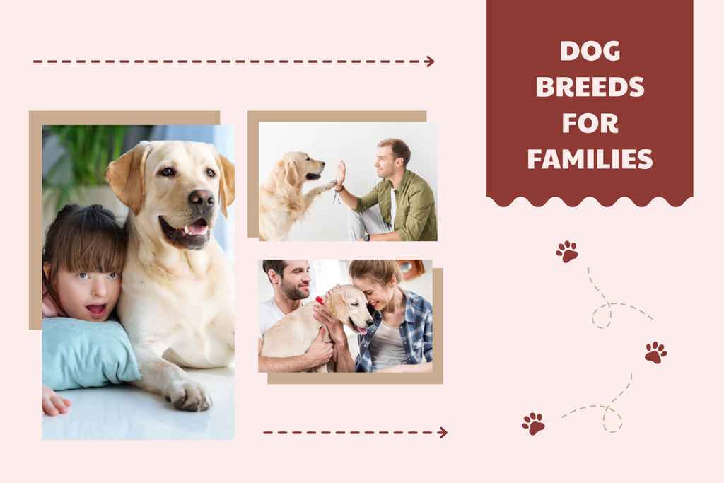 Dog Breeder Services for Families Mood Boardデザインテンプレート