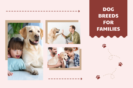 Υπηρεσίες εκτροφής σκύλων για οικογένειες Mood Board Πρότυπο σχεδίασης
