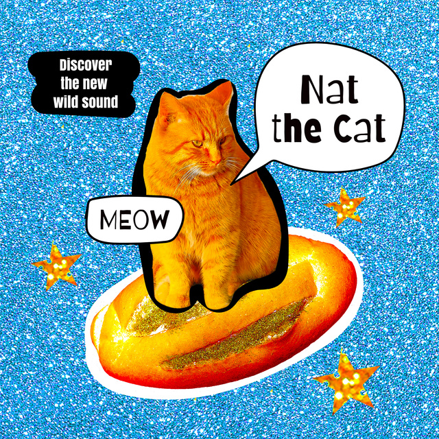 Ontwerpsjabloon van Album Cover van Funny Cat flying on Bread