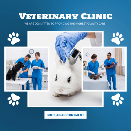 Veterinary Clinic Service Offer on Blue Animated Post Design Template